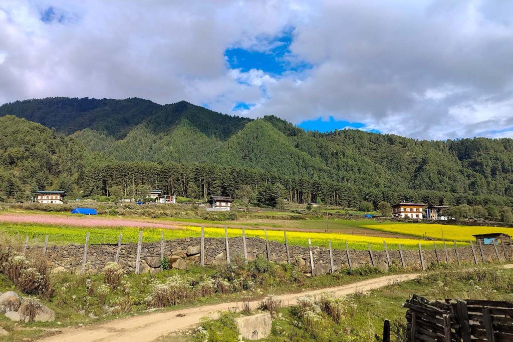 Path in Phobjikha valley