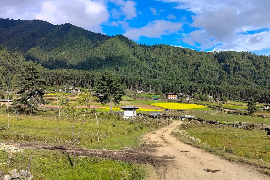 Path in Phobjikha valley way