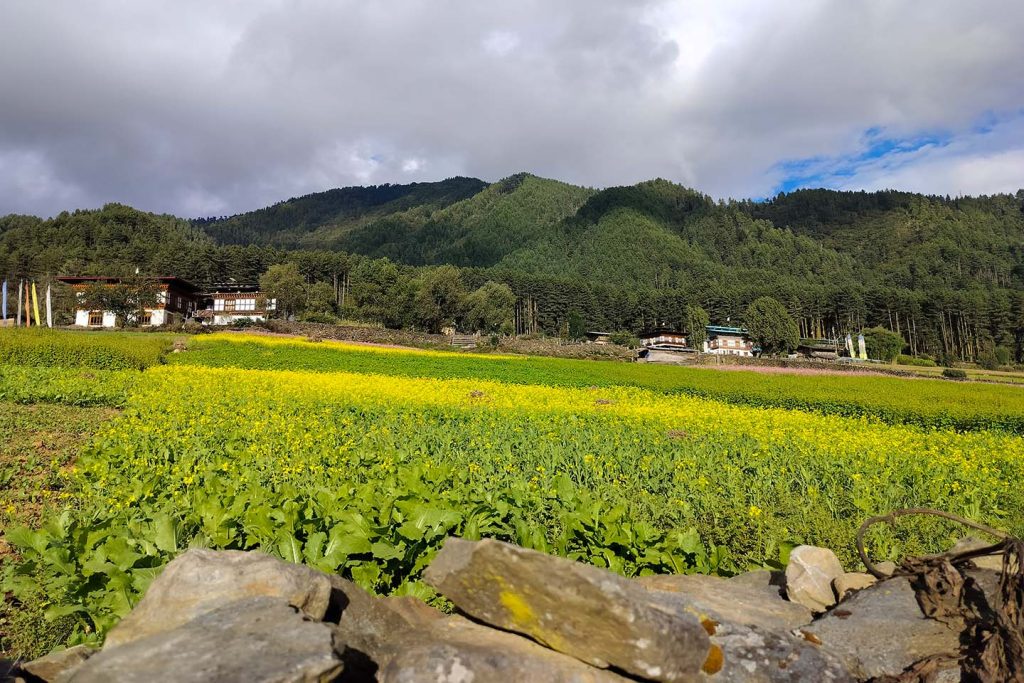 Phobjikha Valley Low view