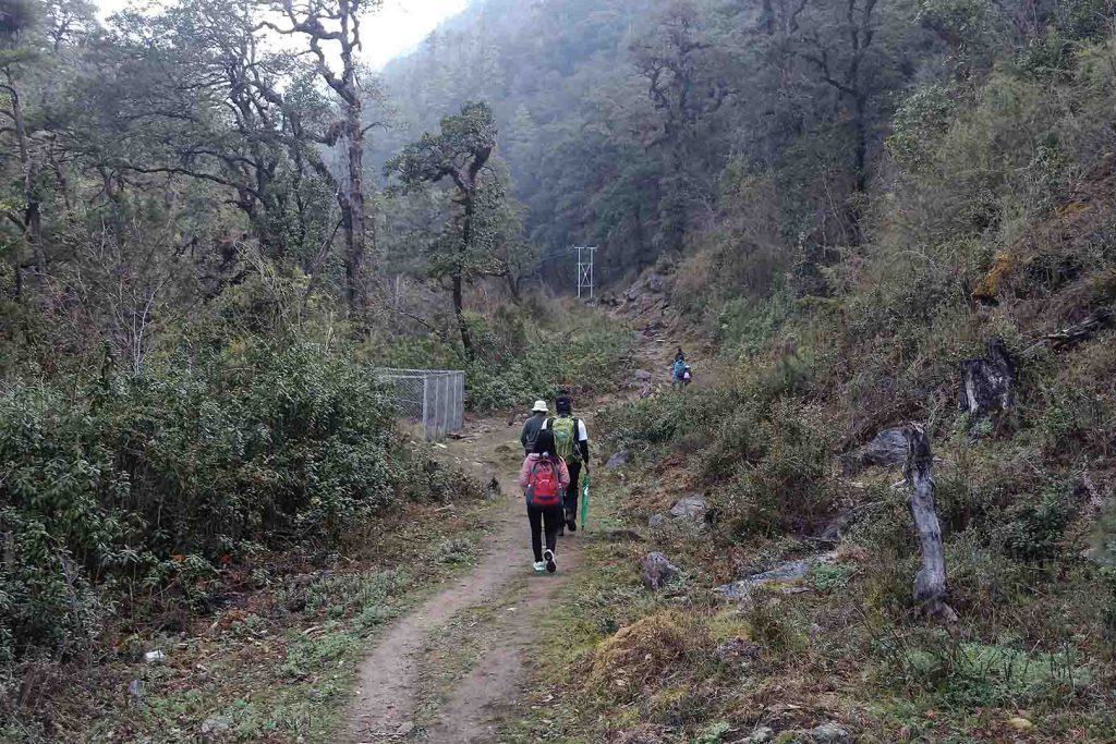 On way to trek druk path trek