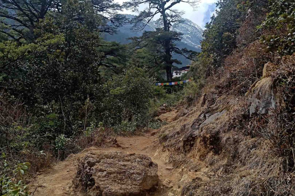 Mountain forest view druk path trek