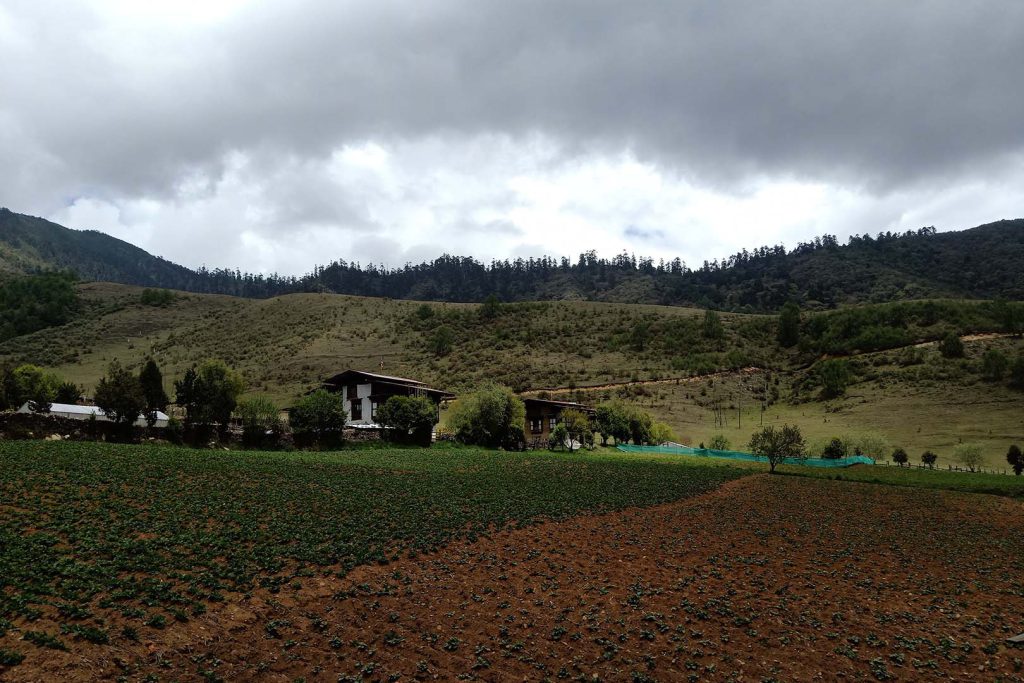 Farm view druk path trek