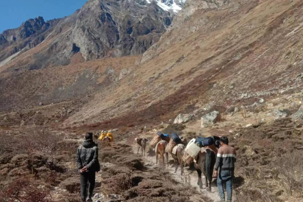 On the track jomolhari trek