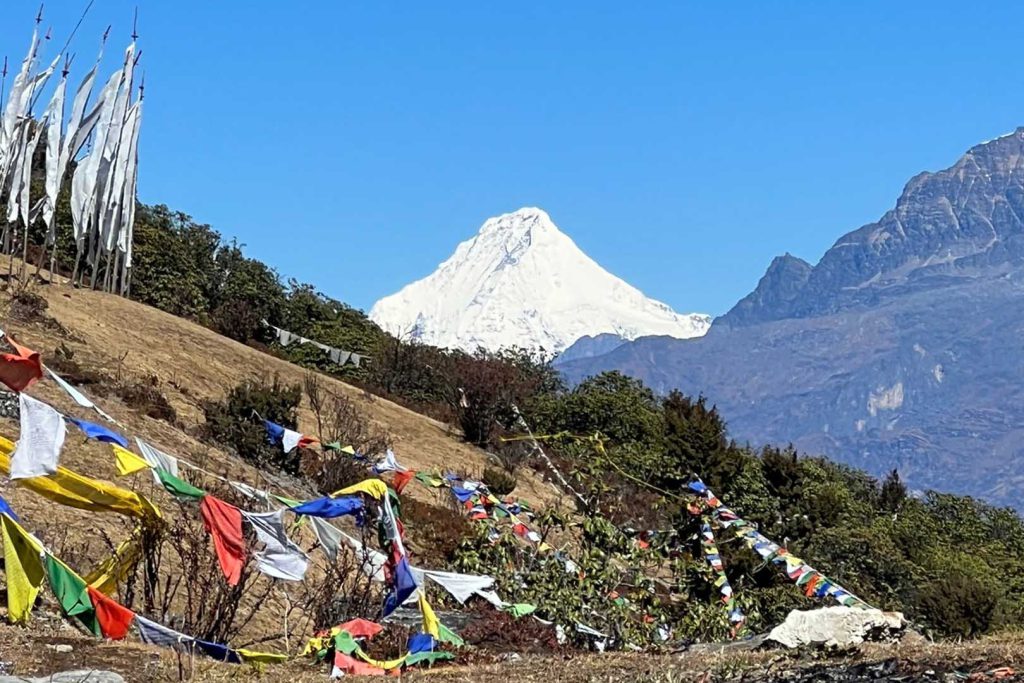 Prayer flag and snowy mountain jomolhari trek