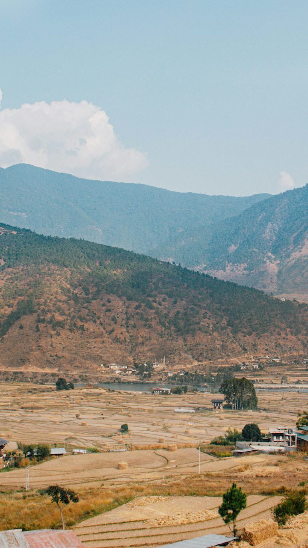 Punakha Valley